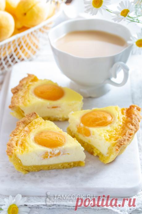 Песочный пирог с абрикосами и сметанной заливкой — рецепт с фото пошагово