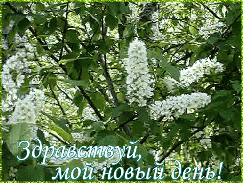 (17) Мой Мир@Mail.Ru