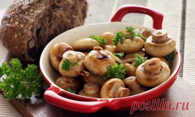 «Лесная пища» Что нужно знать о грибах. — Всегда в форме!