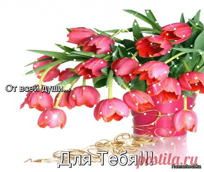 0_ad26a_ef14eeee_XL.jp (674×570)
