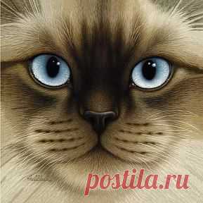 Рисунки карандашом , как вам ?