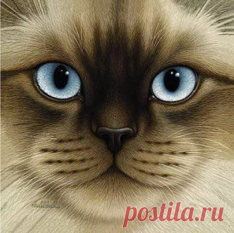 Рисунки карандашом , как вам ?