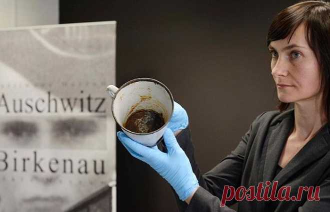 Клад в кружке из музея Освенцима