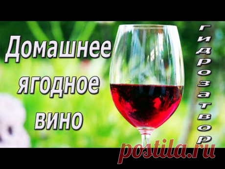 Домашнее вино! Что делать если нет гидрозатвора!