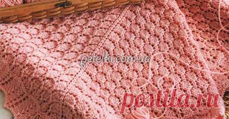 (3) Facebook