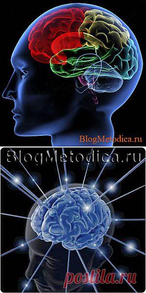 Как повысить серотонин естественным путём. Гормон удовольствия. | BlogMetodica.ru – методические рекомендации | методика похудения, методики изучения, методики бесплатно, английский методика