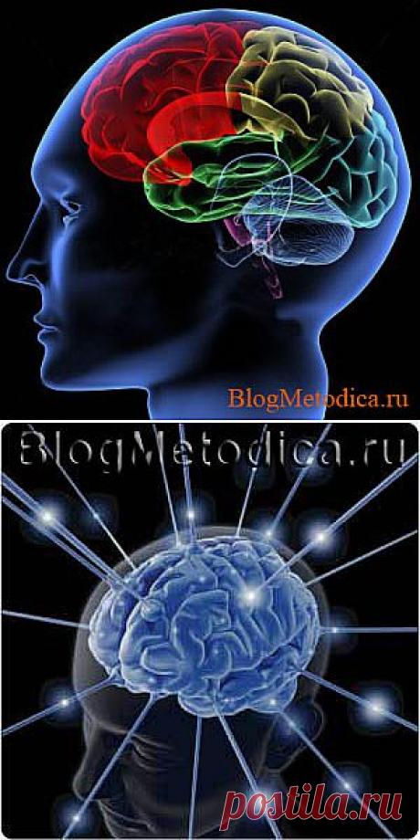 Как повысить серотонин естественным путём. Гормон удовольствия. | BlogMetodica.ru – методические рекомендации | методика похудения, методики изучения, методики бесплатно, английский методика