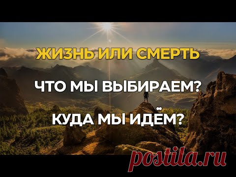 Важно! Жизнь или смерть // Что мы выбираем? // Куда мы идём?