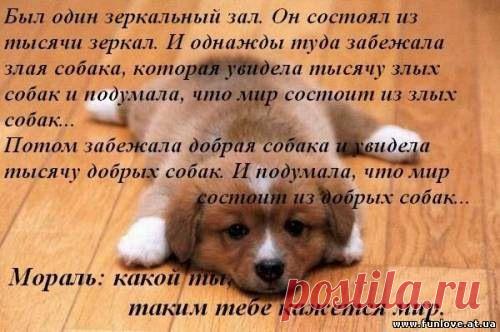 афоризмы в картинках | 165 фотосуреттер