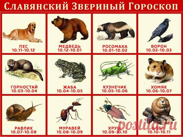 Татьяна Жукова