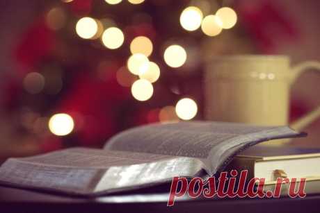 Топ-5 книг, которые наведут в жизни порядок | Книга в день | Яндекс Дзен
