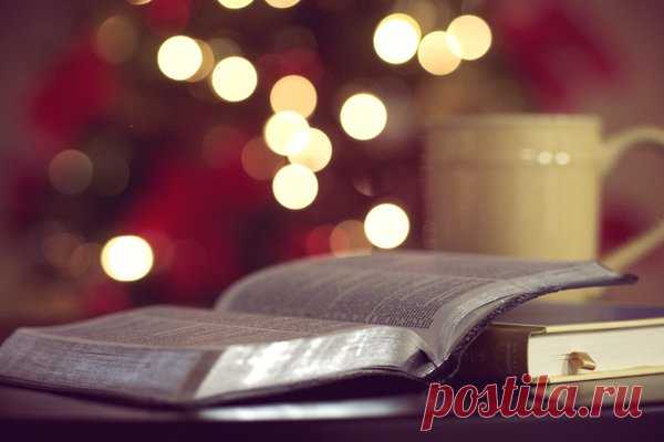 Топ-5 книг, которые наведут в жизни порядок | Книга в день | Яндекс Дзен