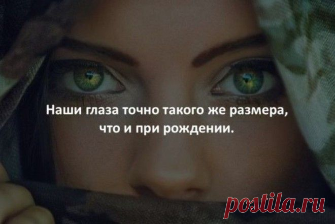 20 случайных и жутко интересных фактов обо всем на свете