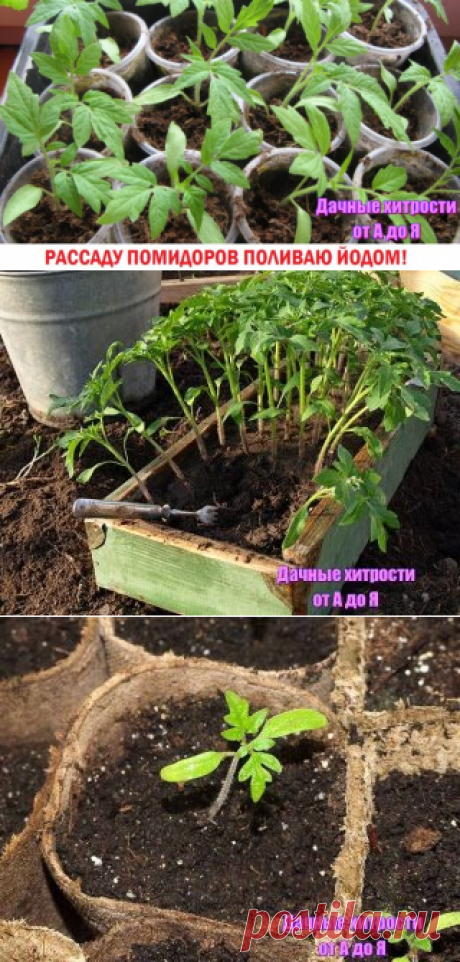 (70) Одноклассники
