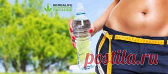 Таблетки термо комплит Гербал | Herbal отзывы