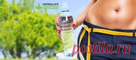 Таблетки термо комплит Гербал | Herbal отзывы