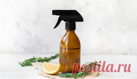 7 запахов, которые муравьи просто ненавидят | Reliant Pest Management