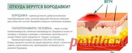 Аллокин альфа при лечении вируса папилломы. Как вывести бородавки на руках