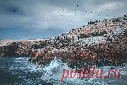 У берегов Перу произошло землетрясение. У берегов Перу произошло землетрясение магнитудой 5,7. Об этом сообщает РИА Новости со ссылкой на Геологическую службу США. В тот же день было замечено более сильное землетрясение у берегов Аляски. Ученые даже выпустили предупреждение о цунами, но затем отозвали эту информацию — риска на самом деле не было.