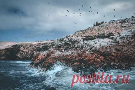 У берегов Перу произошло землетрясение. У берегов Перу произошло землетрясение магнитудой 5,7. Об этом сообщает РИА Новости со ссылкой на Геологическую службу США. В тот же день было замечено более сильное землетрясение у берегов Аляски. Ученые даже выпустили предупреждение о цунами, но затем отозвали эту информацию — риска на самом деле не было.