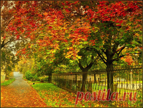 Мой Мир@Mail.Ru