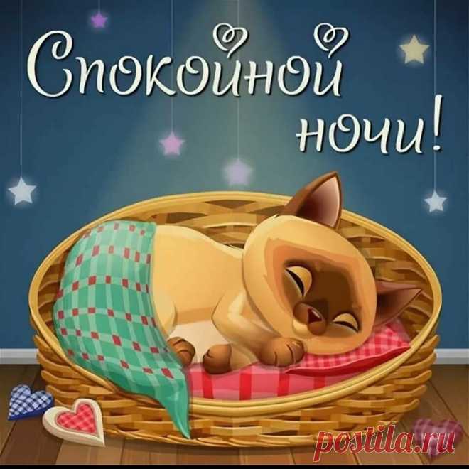 Доброй ночи, сладких снов! 😴