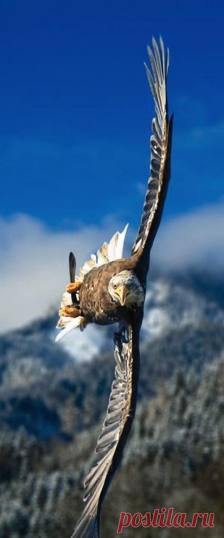 Найдено на сайте 500px.com.