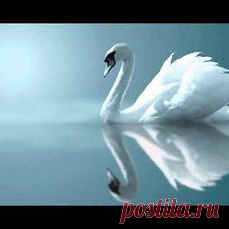 Музыка для души...