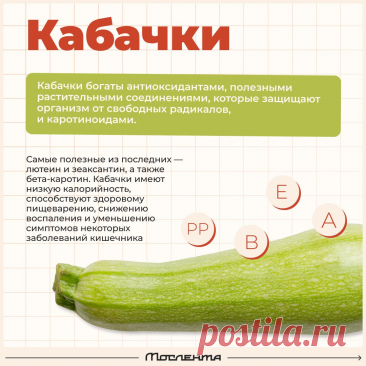 Кабачки польза