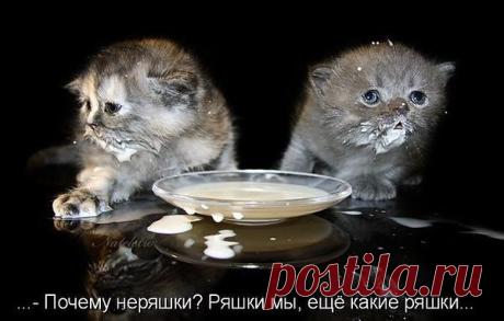 Интересные новости