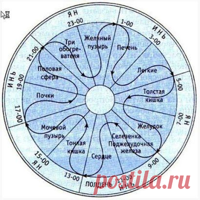 (66) Одноклассники