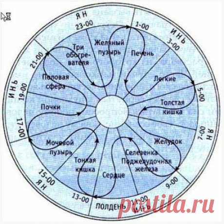 (66) Одноклассники
