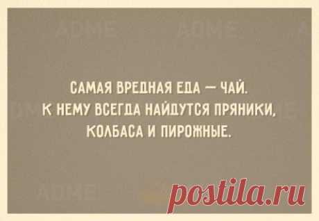 От семечка до луковицы весом в полкило — за сезон