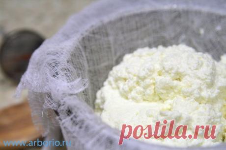 Как приготовить рикотту в домашних условиях | Кулинарные заметки Алексея Онегина