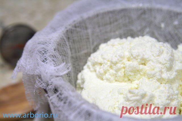 Как приготовить рикотту в домашних условиях | Кулинарные заметки Алексея Онегина