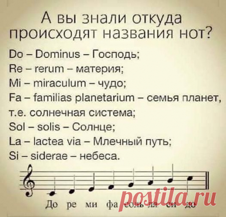 (6) Facebook