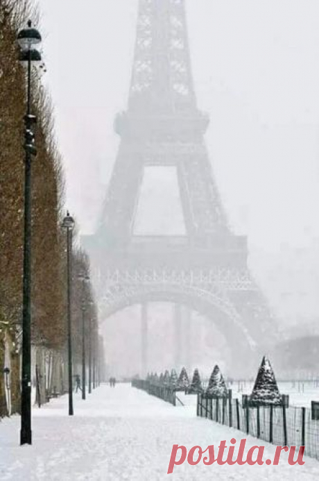 Фото – Google+