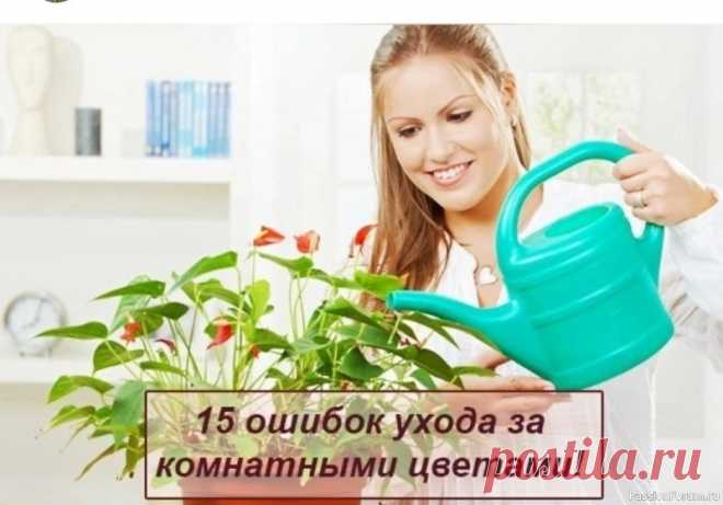 15 ошибок ухода за комнатными цветами! ✿ Верхние листья растения желтеют, сохраняя при этом упругость. Такое с растениями происходит, если для их полива используется жесткая вода. С целью умягчения воду можно отстаивать 24 часа или кипятить. Правда при кипячении из воды выходит весь кислород, в результате почва в горшках...