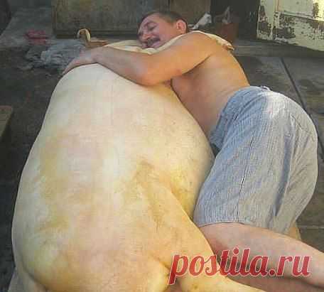 (52) Одноклассники