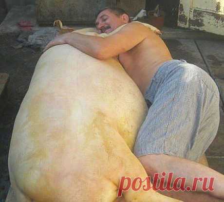 (52) Одноклассники
