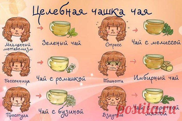 5 интересных фактов