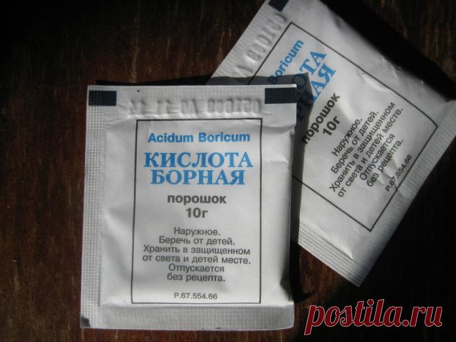 Внекорневая подкормка томатов борной кислотой - советы