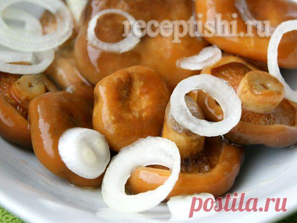 Рыжики, соленые холодным способом | Кулинарные рецепты с фото на Рецептыши.ру