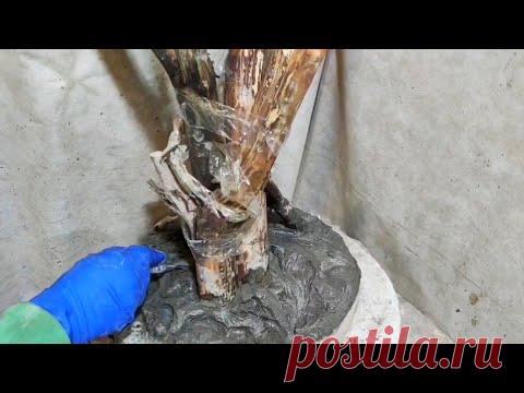 Зацементировал сухие ветки, посмотрите что получилось