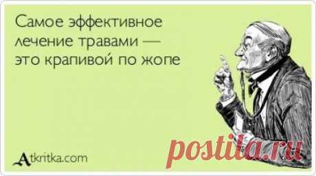 Лучшие «аткрытки» года
