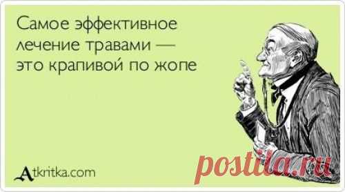 Лучшие «аткрытки» года