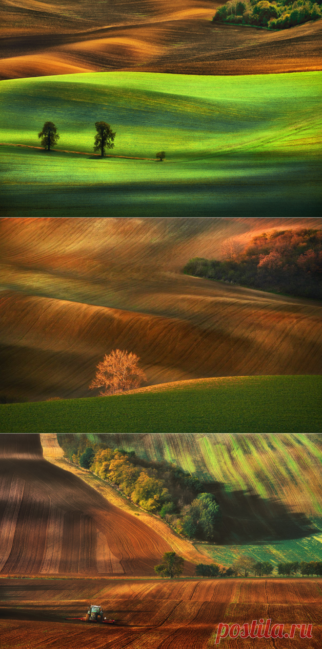 Красота полей в объективе Гжегожа Левандовского — Фотошедевры