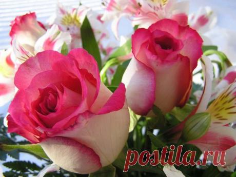 Для хорошего настроения цветы фото