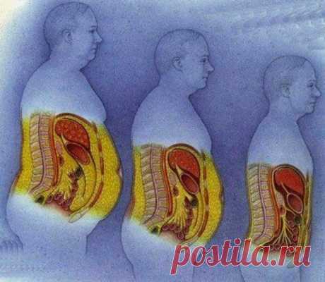 Почему растет живот — Делимся советами