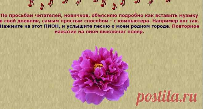 Вставляем музыку в дневник из копьютера